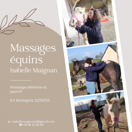 Massages-chevaux