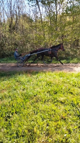 Prends-chevaux