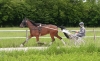 L-qualifiee-1-19--freres-tous-gagnants-2