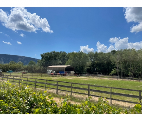 Propriete-equestre-Vaucluse-3