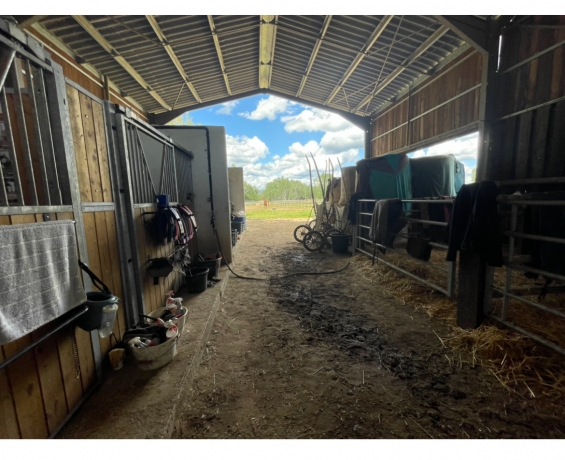 Propriete-equestre-Vaucluse-1