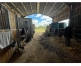 Propriete-equestre-Vaucluse-1