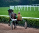 Cheval-pour-apprenti-0