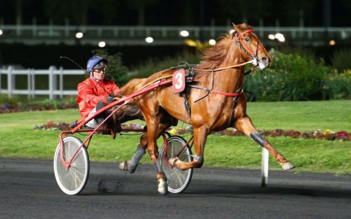 Saillie-EROS-DU-CHENE-remisee-0
