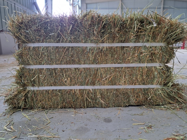 Botte-de-foin-compressee-1