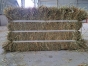 Botte-de-foin-compressee-1