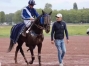 Entraineur-Publique-0