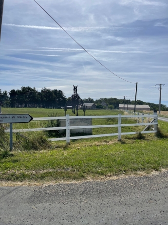 POSTE-A-POURVOIR-ENTRAINEUR-QUALIFIE-POUR-ECURIE-DE-CHEVAUX-TROTTEURS-1