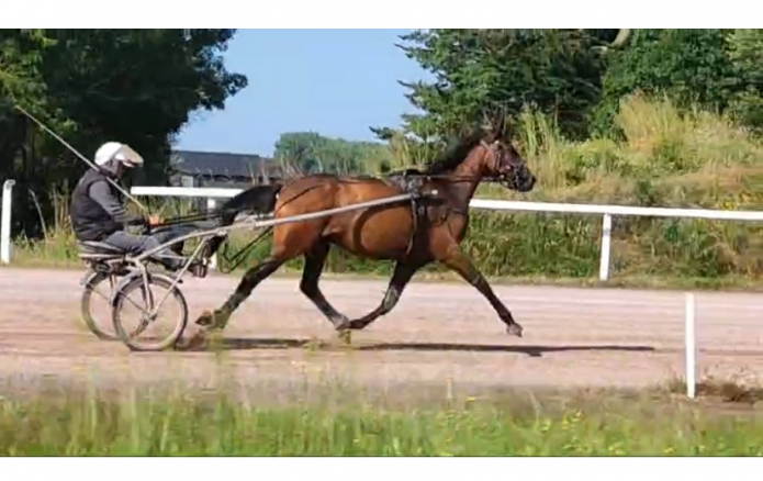 METAPHORE-SQUARE-par-TIMOKO---mere-BIRD-PARKER-0