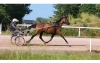 METAPHORE-SQUARE-par-TIMOKO---mere-BIRD-PARKER-0