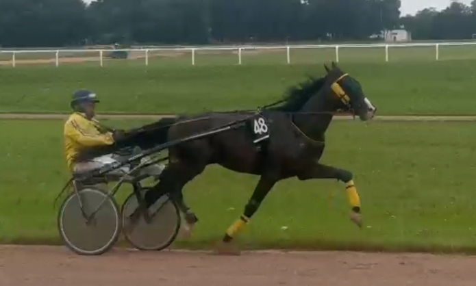 2-ans-qualifie-inedit-1