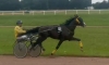 2-ans-qualifie-inedit-1
