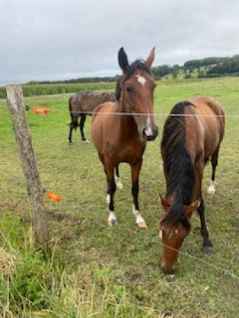 A-VENDRE-