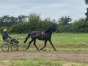 Nestor-closbuis--Invincible-Cash-x-fille-Coktail-jet-0