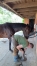 Vend-