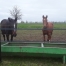 Location-carriere-de-courses-0