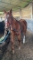 VD-PART-DE-10-20--NOUBA-QUEEN-0