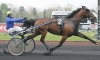 Saillie-Quaker-Jet-200+1200€-PV-ou-arrangement--1