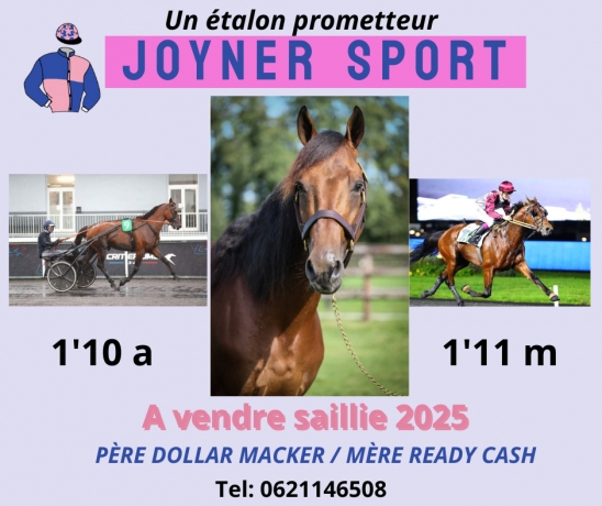 Joyner-Sport--Dollar-Macker--Ready-cash