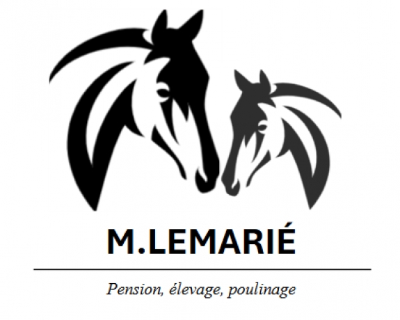 Pension-repos--elevage--poulinage--0