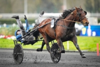PART-DE-IDAO-DE-TILLARD-AVEC-SAILLIE-2025-
