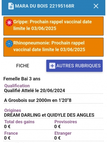 Mara-du-Bois-1