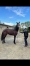 Pouliche-M-trotteuse-2