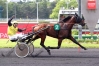 saillie-guillermo-sport-1achetee-=-1-offerte-monte-naturelle-0