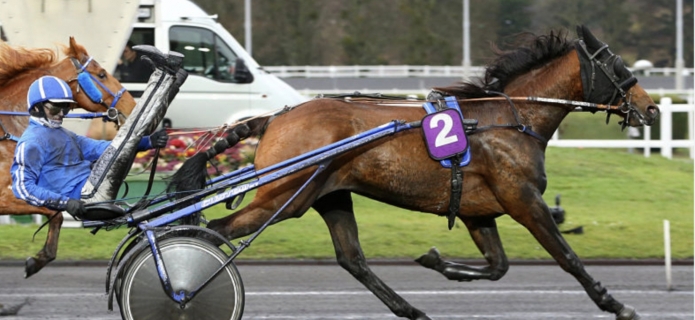 Propose-foal-sharing