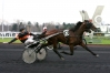 Saillie-Magnificent-Rodney-2024-0