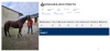 VEND-KINOURA-DES-MONTS-+-SAILLIE-OFFERTE-0