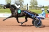 Arrangement-sur-saillie-Gospel-Pat-et-Unbridled-Charm-0