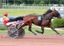 Vends-saillie-sans-TVA-KNOCKONWOOD-0