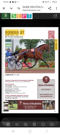 A-vendre-saillie-Rodrigo-Jet