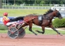 Vends-saillie-sans-TVA-KNOCKONWOOD-0