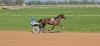 M-qualifiee-inedite-sœur-classique-2
