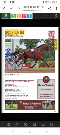 A-vendre-interessante-saillie-Rodrigo-Jet-0