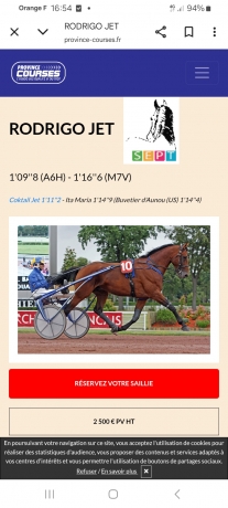A-vendre-saillie-Rodrigo-jet