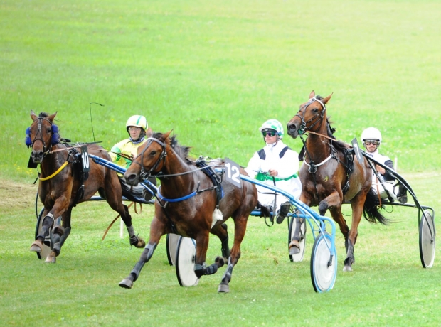 pouliche-L-5-195-€-prete-a-courir