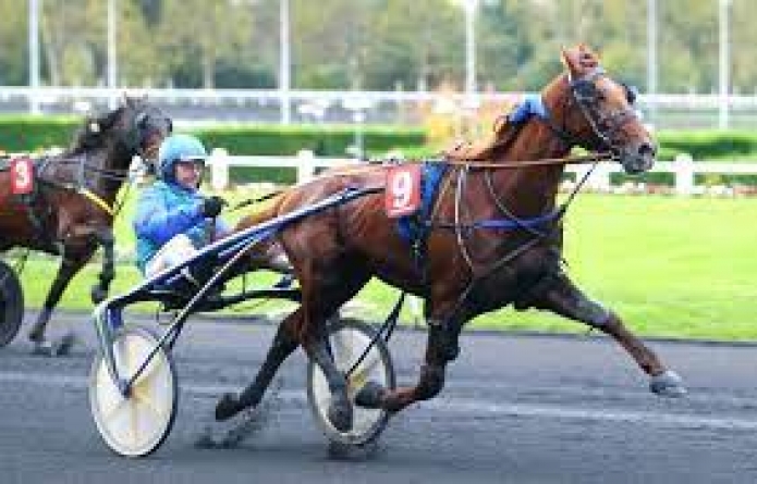 Vends-saillie-de-UZO-JOSSELYN-(Love-You--Lezira-Josselyn-par-Workaholic)-Prix--1000-€-HT-PV