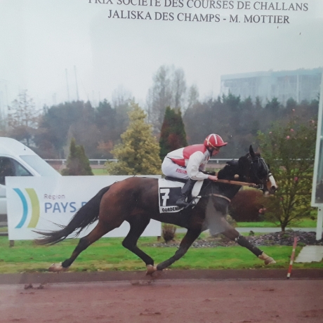 Location-carriere-de-courses