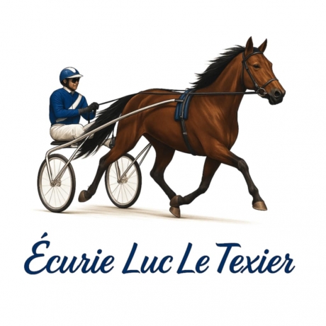 Essaye---debourre-poulains
