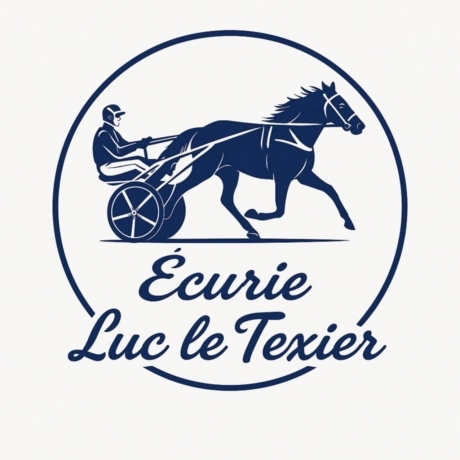 Essais-poulains---debourrage---entrainement