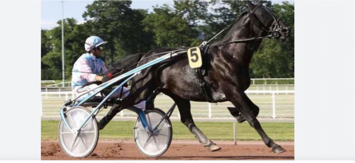 Propose-2-saillies-fin-de-saison