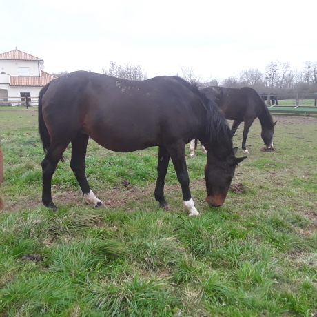 Loue-carriere-de-pouliniere