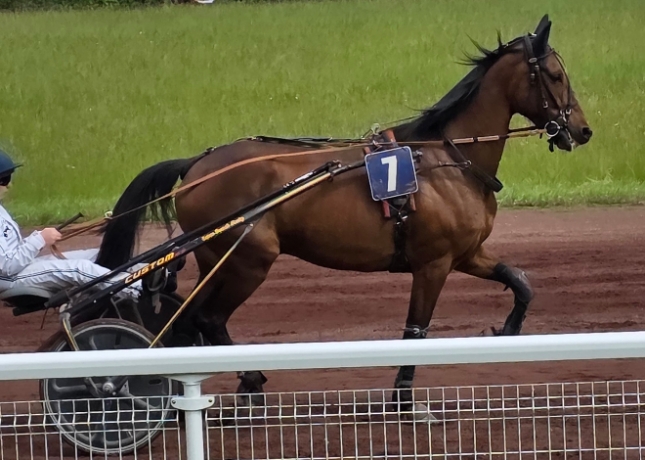 cede-K-hongre-30-000-€-de-gains-rec-1-15
