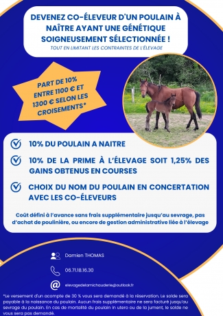 Parts-Poulains-a-naitre-avec-prime-a-l-elevage
