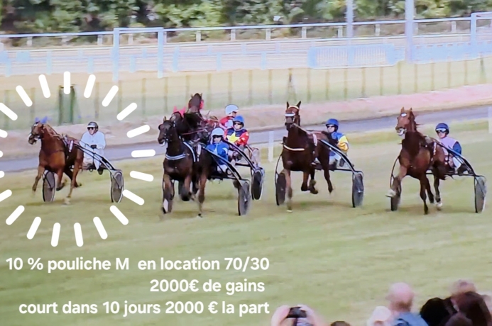 part-de-10---d-une-M-louee-70-30-0