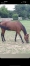 Ikeylie-7-ans-pret-a-courrir-0