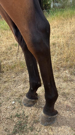 Jiva-du-douet-6ans-1